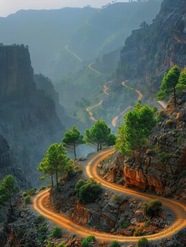 Scenic Mountain Road With Trees on Both Sides