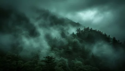 Foto op Plexiglas Vintage retro style misty mountain landscape with fir forest in dark green and light gray fog © Ilja