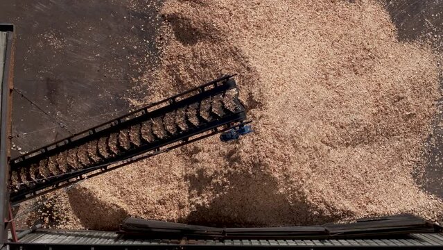 Top down drone shot of the wood chips transported to a stockpile by a belt conveyor at sawmill