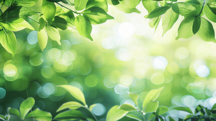 Green leaves over a blurred organic background. Fresh nature concept.