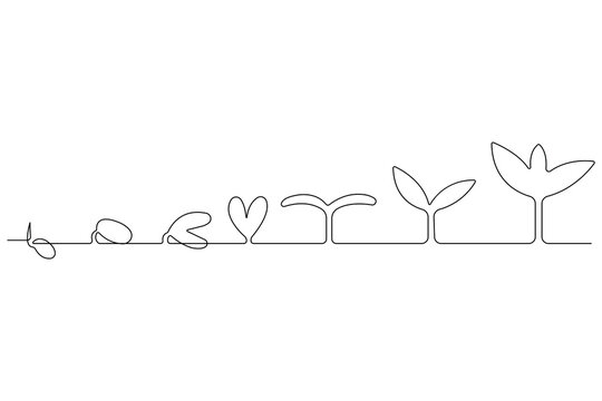 sprout growth stages continuous line drawing clip art preview