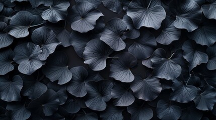 Abstract nature pattern, Background from black ginkgo leaves, black leaves pattern, chinese leaves, gingko leaves, pattern, background - obrazy, fototapety, plakaty