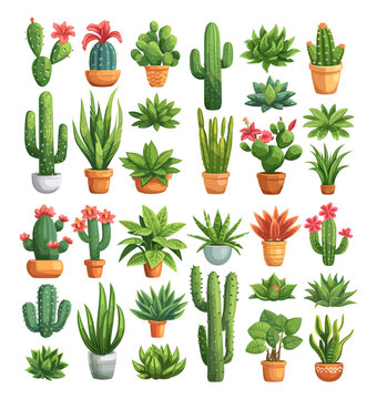 Cacti plants flat style isolated on white background. Houseplants, in pots, with flowers. Decorative botanic with and without thorns, detailed illustration, floral objects vector set