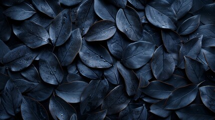 Naklejka premium Black monochrome nature pattern, Background with black leaves, black leaves pattern, pattern, background