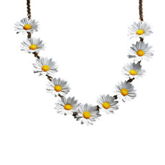 Fototapeta premium daisy chains on transparent background, png