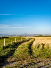 Fototapeta na wymiar Horse Fence Snakes its Way Over the Hill in rural Kentucky