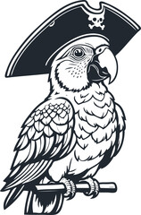 Parrot pirate, vector illustration - 747256996