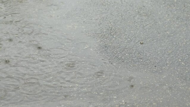 Puddle on asphalt road, rain drops. Light summer rain, water drops falling on asphalt pavement, wet road with puddles