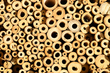 Bee house or insect house made from bamboo