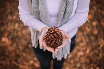 girl holding pine cones in hand