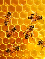 Fotobehang honeycomb with bees producing honey - beekeeping concept © juancajuarez