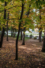 autumn in the Sofia 2