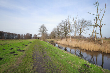 Fototapeta premium The Klostersee circular hiking trail with a bird watching tower in Altfriedland, Federal state Brandenburg - Germany
