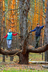 portrait of an elderly beautiful couple standing on a large pine tree in a wild forest on a spring day