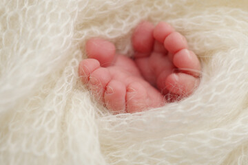 Obraz premium The tiny foot of a newborn baby. Soft feet of a new born in a wool white blanket. Close up of toes, heels and feet of a newborn. Macro photography.