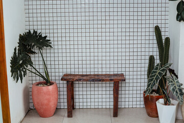 Wooden bench next to plants in pots on white wall background