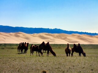 Southern Mongolia