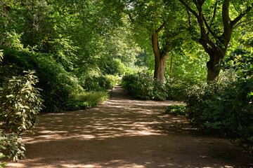 pathway and beautiful trees track for running or walking and cycling relax in the park on green...