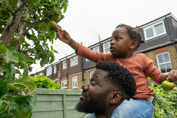 Father giving daughter (2-3) piggyback ride near apple tree