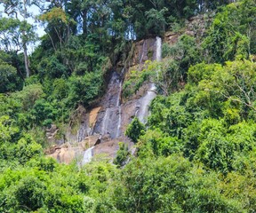 waterfall in the forest