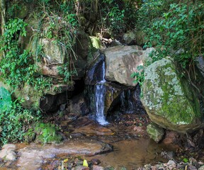waterfall in the forest