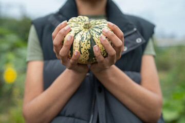 Mid section of woman holding homegrown gourd in urban garden - obrazy, fototapety, plakaty