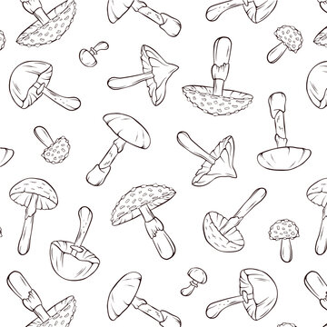 Seamless pattern with inedible mushrooms in line art style. Design for wrapping paper, wallpaper, textiles with fly agaric, destroying angel, deadly webcap and autumn skullcap. Vector illustration