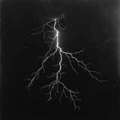 Stark white lightning branches out in jagged lines against a pitch-black sky, resembling the roots of a tree.