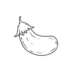 Eggplant solated on white background. Hand drawn Sketch, icon. Vegetable in doodle style. Vector illustration