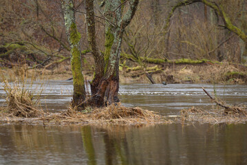 FLOOD - Flooded river valley and meadows after the rains