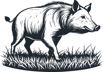 Wild pig, vector illustration - 747287748