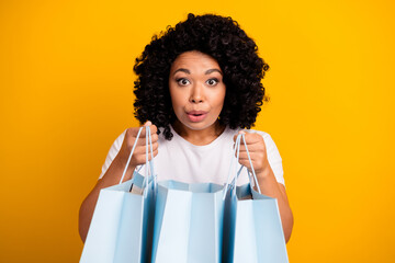 Portrait of nice girl wear casual t-shirt hold shopping bags recommend you order outfit in eshop...