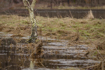 FLOOD - Flooded river valley and meadows after the rains