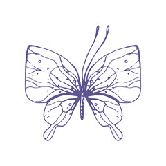 Delicate butterfly with patterns on the wings, simple, sweet, light, romantic. Illustration graphically hand-drawn in lilac ink in line style. Isolated EPS vector object