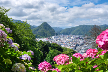 静岡県下田市　下田公園のあじさい