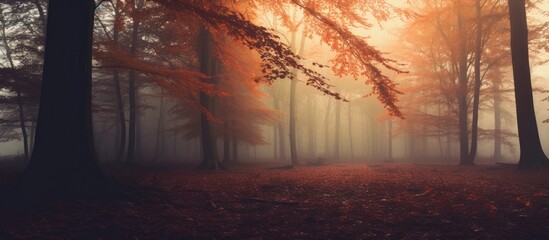 A foggy forest in autumn, densely populated with trees creating a mysterious and atmospheric scene. The mist obscures the view, adding to the eerie allure of the forest.