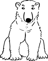 Polar bear Sketch