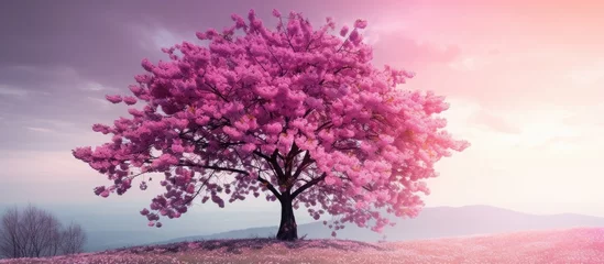 Zelfklevend Fotobehang A pink tree stands out in the middle of a vast field, its blossoms vibrant against the natural backdrop. It is a striking sight in the springtime landscape. © AkuAku