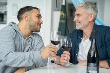 Male couple raising toast with red wine at home