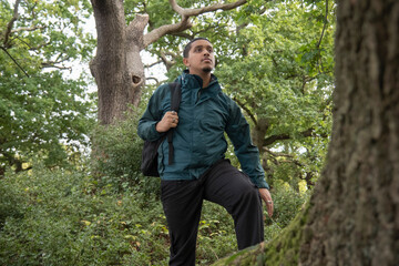 Naklejka na ściany i meble Man with backpack hiking in forest