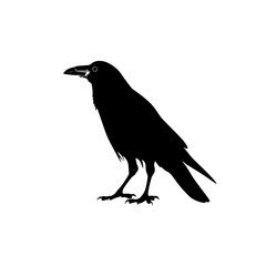 Obraz premium crow on a white background Generative AI