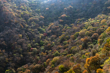 View of the valley in the autumn mountains 