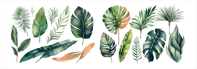 Collection of Beautifully Painted Tropical Leaves, Featuring Various Species and Colors, Ideal for Nature - obrazy, fototapety, plakaty