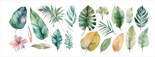 Fotobehang Watercolor Collection of Lush Greenery: Various Tropical and Domestic Leaves, Perfect for Elegant © Zaleman