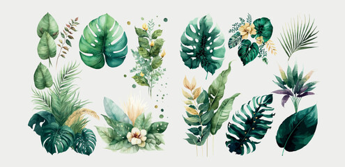 Watercolor tropical floral illustration set with green leaves . Decorative elements template. Flat cartoon illustration isolated on white background