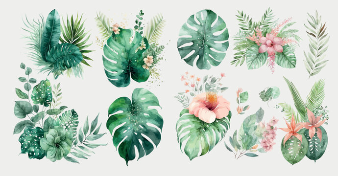 Watercolor tropical floral illustration set with green leaves . Decorative elements template. Flat cartoon illustration isolated on white background
