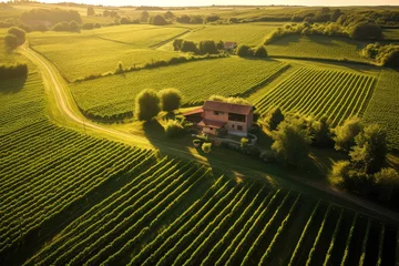 Fototapeten farmhouse among vineyards on background © Tidarat