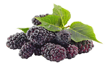 Mulberry isolated on transparent background