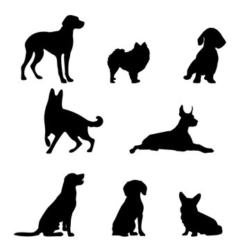 Vector silhouette of a dog