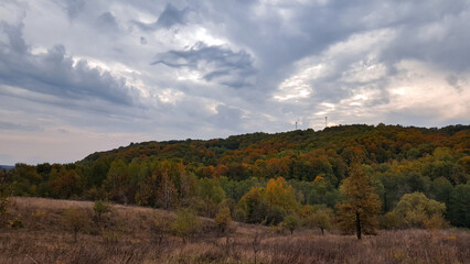 Fototapeta premium A beautiful autumn landscape with a huge colorful forest. Astonishing view into the woods colored in golden and yellow during fall season